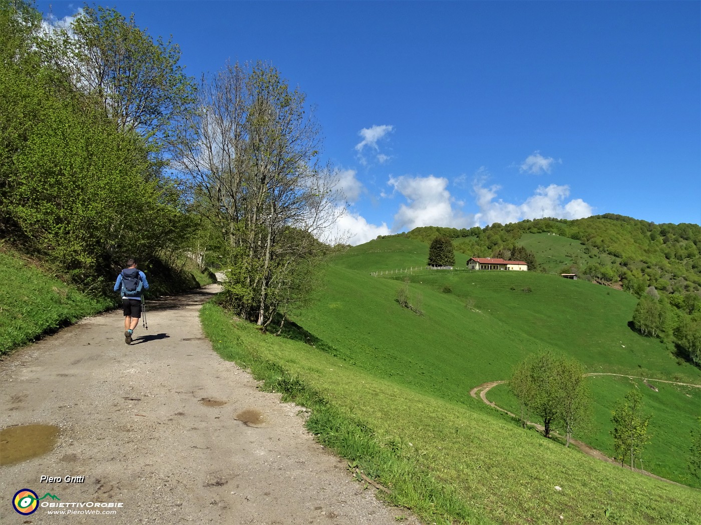 07 Buon tratto di cammino su strada agrosilvopastorale.JPG